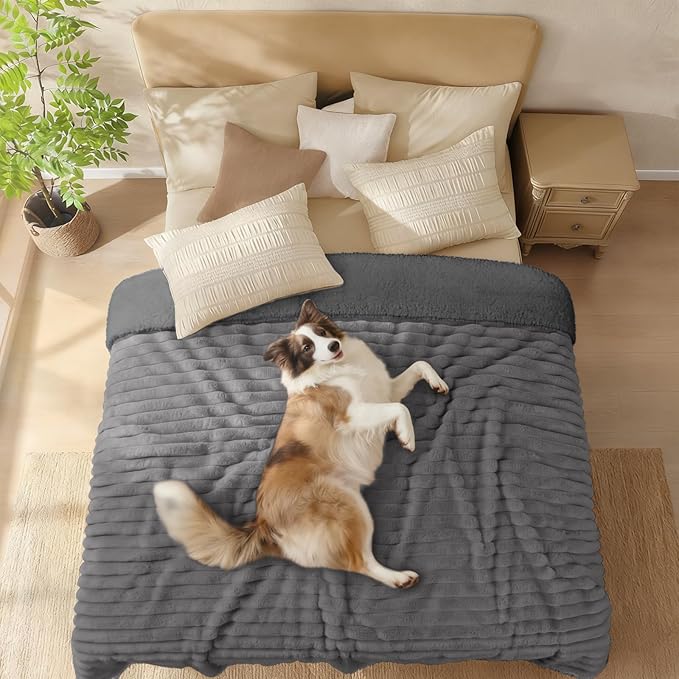 Luciphia Waterproof Dog Blanket for Small Puppy Ultra-Soft Calming Cut Pile Flannel Throw Durable & Warm Furniture Protection for Couch Car Pet Cat Blanket Machine Washable Stone Gray,S(40''x28'')