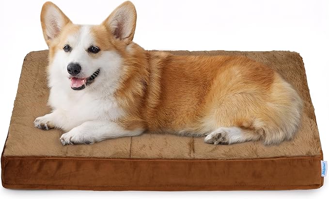 ZAKAPAWS Dog Bed for Medium Dog - Orthopedic Pet Beds with Memory Foam, Waterproof Removable Washable Cover with Non-Slip Bottom, Khaki, 30" L x 20" W x 3" H