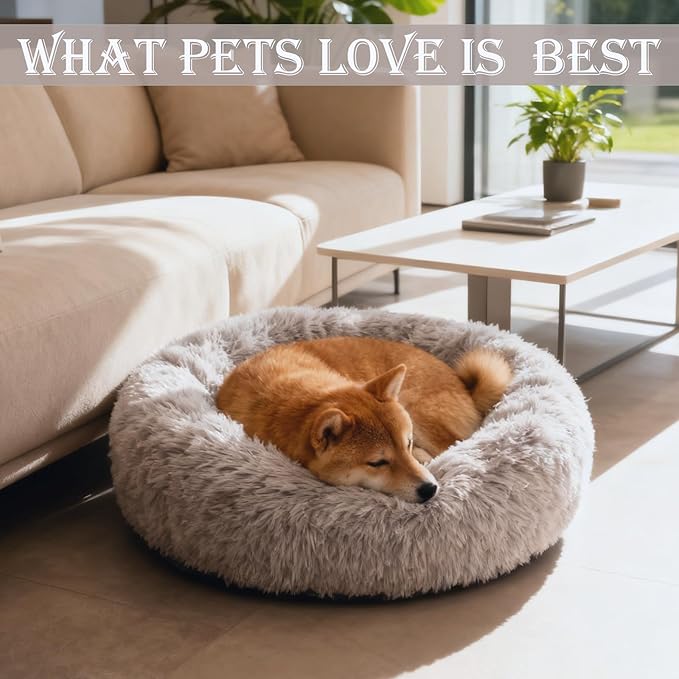 Aofast Calming Dog & Cat Bed for Extra Large Small Medium Sized Pet, Donut Washable Comfort Fluffy Warm Round Mat for Puppy Kitten, 8 Size Essentials Furniture Supplies Indoor