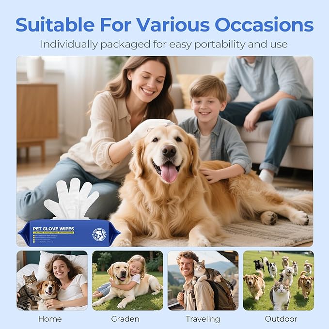 PUPMATE Pet Cleaning Glove Wipes for Dogs & Cats, Hypoallergenic Deodorizing Disposable No-Rinse Grooming Wipes, Wipes, Perfect for Pet Dry Cleaning, Daily Care and Travel, Coconut Scent, 8 pcs