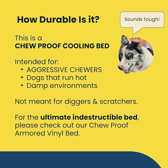 K9 Ballistics Chew Proof Elevated Outdoor Cooling Cot Bed for XX Large Dogs - Virtually Indestructible, Preassembled, Withstands Aggressive Chewers - XXL, Black Mesh