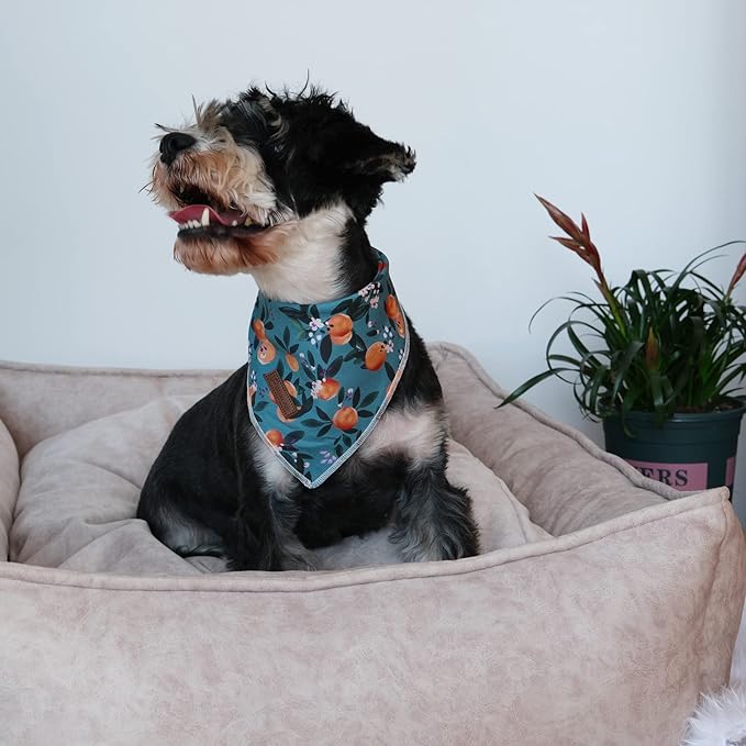 UP URARA PUP Summer Dog Bandana - Comfortable Cotton Triangle Bid Scarf for Medium Large Dogs - Washable Pet Kerchief for Girl Boy - Peach and Green Classic Scarf