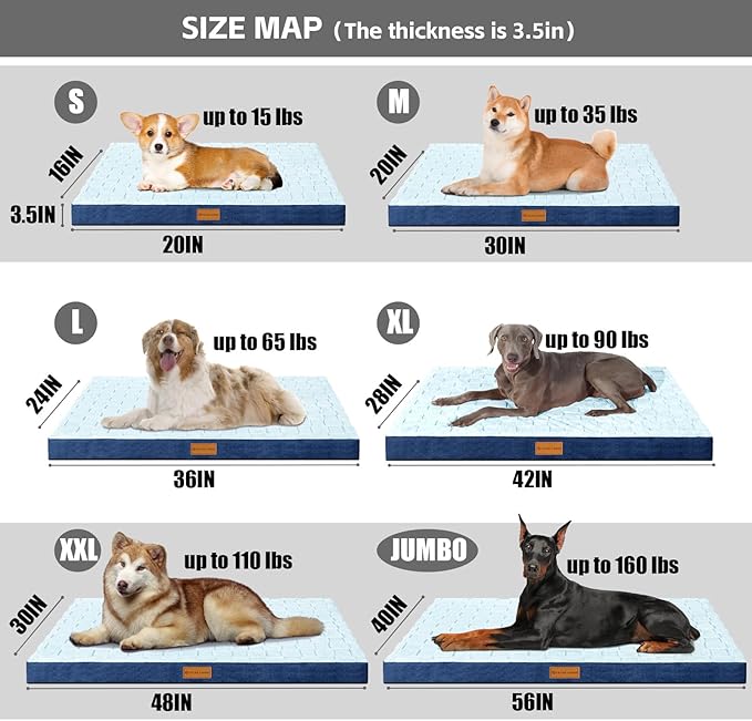 Patas Lague Orthopedic XL Dog Bed Large Sized Dog 48''X30'', Waterproof Soft Comfortable Egg Crate Foam Large Pet Beds Crate Mat with Removable Washable Cover and Nonskid Bottom, Blue
