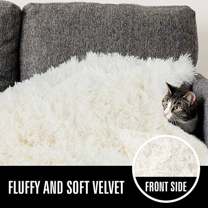 LOCHAS Luxury Fluffy Dog Blanket, Extra Soft and Warm Sherpa Fleece Pet Blankets for Dogs Cats, Plush Furry Faux Fur Puppy Throw Cover, 40''x60'' Cream White