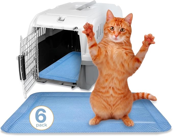 Skywin Pet Carrier Pads, 6 Pack Cat Carrier Pad Insert 19.5" x 12.5", Disposable Small Cat Carrier Liner Pad, Puppy Training Pads(Blue)