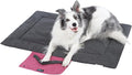 Outdoor Foldable Dog Mat Durable Teflon-Coated Oxford Material Waterproof Thin Dog pad Travel-Friendly Machine Washable Design for Camping/Car (Dark Grey, Small (27.6 * 19.7 * 1.57 in))