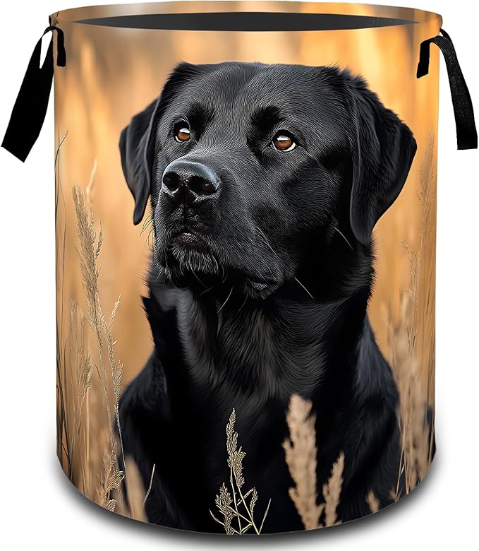 VODRM Labrador Dog with Wheat Field Laundry Basket, Dirty Collapsible Clothes Toy Organizer Hamper for Kids Adults, Oxford Cloth Waterproof Storage Bin for Bedroom Bathroom Decor Gifts, 19.7"X15.7"