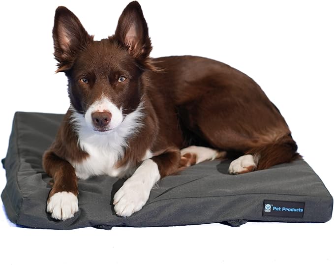 Blue-9 Pet Products Restore Dog Bed, Durable, Water Resistant, and Washable Design, 24” Square