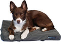 Blue-9 Pet Products Restore Dog Bed, Durable, Water Resistant, and Washable Design, 24” Square