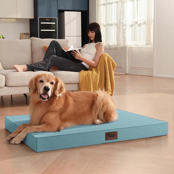 Tail Stories Outdoor Orthopedic Dog Bed for Medium Dogs & Cats, Waterproof Flat Pet Mat with Egg Crate Foam & Washable Removable Oxford Cover, 30x20 Inch, Light Blue