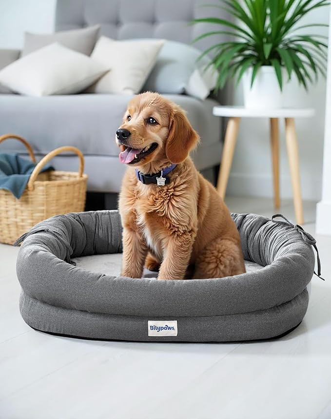 bilypaws Orthopedic Dog Bed for Small Dogs, Pet Sofa Bed with Egg Crate Foam, 4-Sided Bolster, Removable Washable Cover & Anti-Slip Bottom, Small Dark Gray