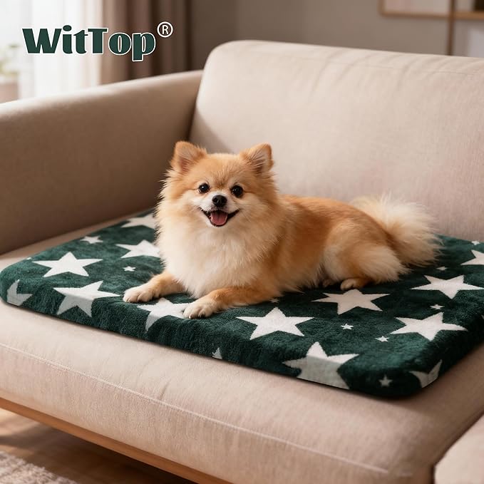 Wittop Washable Dog Bed Plush Orthopedic Outdoor Crate Mat with Non-Slip Bottom,Luxe Soft Kennel Pad for Pets, Cozy Cage Cushion & Pet Sleeping Mattress Large Sized,Medium,Small Dogs,24x18 inch,Green