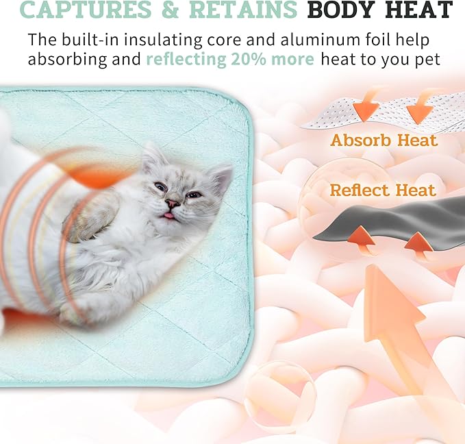 NWK Fluffy Self Warming Cat Mat, Cat Blanket, Thermal Dog Mat, Washable, Non-Slip Bottom for Sofa & Crate & Kennel & Car Seat (Mint Green, Small (20'' X 16'' X 0.4''))