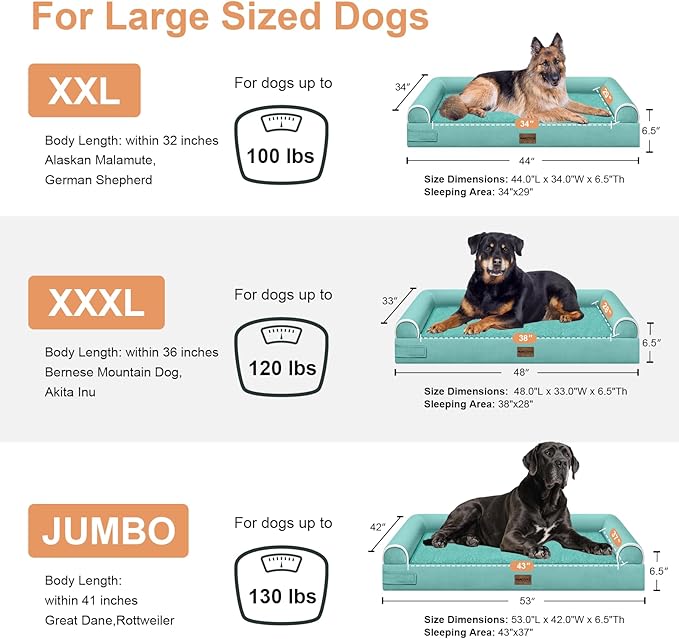 Large Dog Bed Orthopedic Washable: Beds Bolster XXL Bed Big XLarge Dogs Egg Crate Foam Sofa Couch Waterproof Removable Cover - Aqua Blue