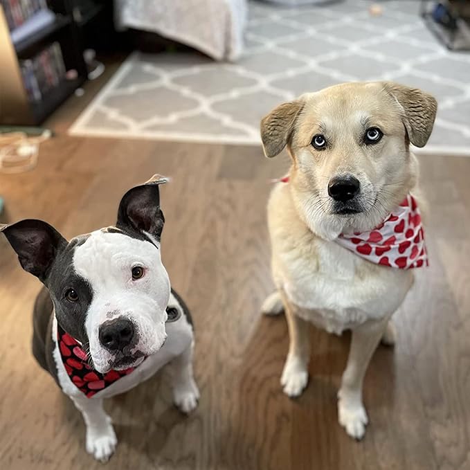 PTDECOR Valentine Dog Bandana, Multi Size, Reversible Triangle Bibs Scarf Valentine Bandanas for Extra Large Dogs (X-Large)
