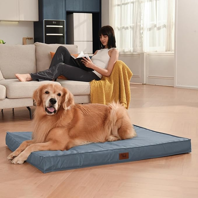 Tail Stories Outdoor All Weather XL Dog Bed, Waterproof Pet Bed for Extra Large Dogs, Orthopedic Egg Crate Foam with Removable Washable Oxford Cooling Cover, 44x32 Inch, Blue