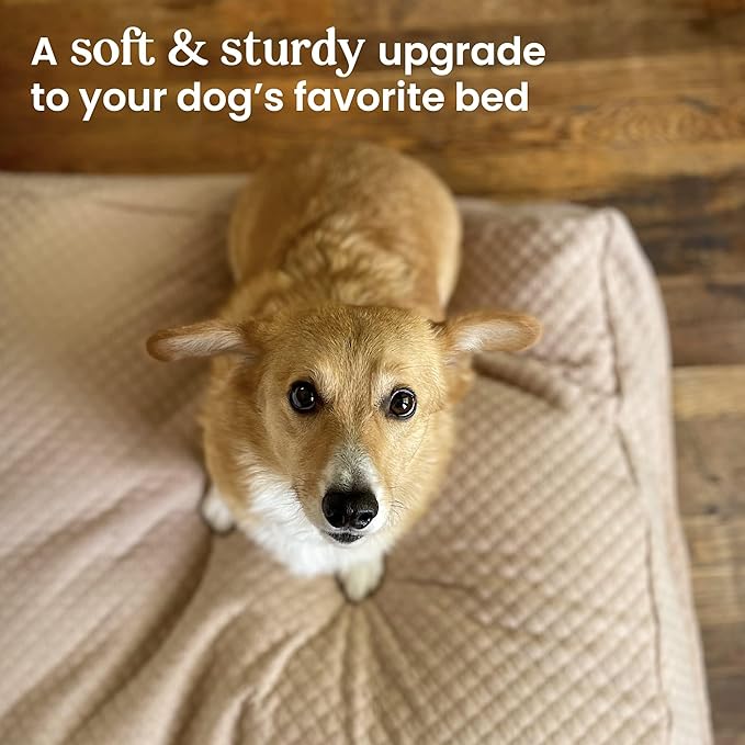 4Knines Luxury Dog Bed Cover – Waterproof Cover for Dog Bed – Heavy Duty Quilted Material – Durable, Machine Washable – USA Based Brand – Medium (Fog)