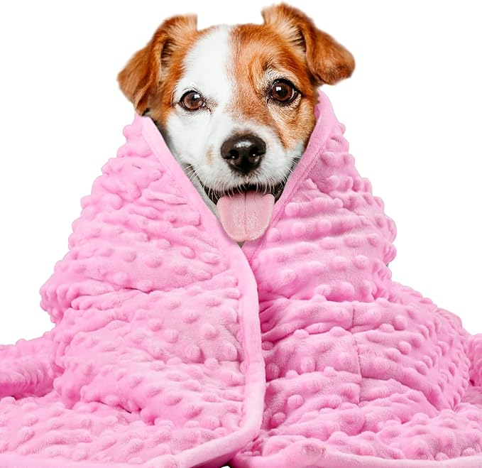 LaSyL Weighted Blanket for Pets | Thunder Blanket for Dogs Anxiety | Premium Soft Minky | Relaxation & Calming & Anti Anxiety | Used in Car, Bed, Couch | Pink, Washable Small 32" L x 24" W