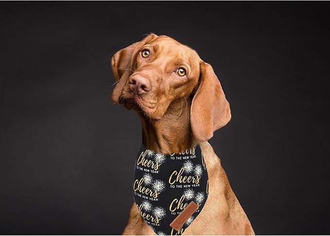 Realeaf New Year Dog Bandanas 2 Pack, Cheers to The New Year Dog Scarf for Boy and Girl, Premium Durable Fabric, Holiday Bandana for Small and Medium Dogs Cats Pets (Small)