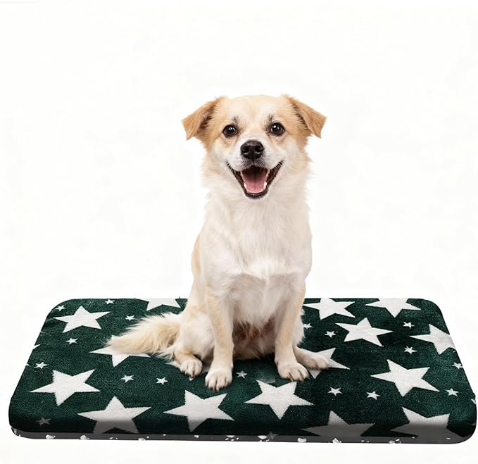 Wittop Washable Dog Bed Plush Orthopedic Outdoor Crate Mat with Non-Slip Bottom,Luxe Soft Kennel Pad for Pets, Cozy Cage Cushion & Pet Sleeping Mattress Large Sized,Medium,Small Dogs,30x20 inch,Green