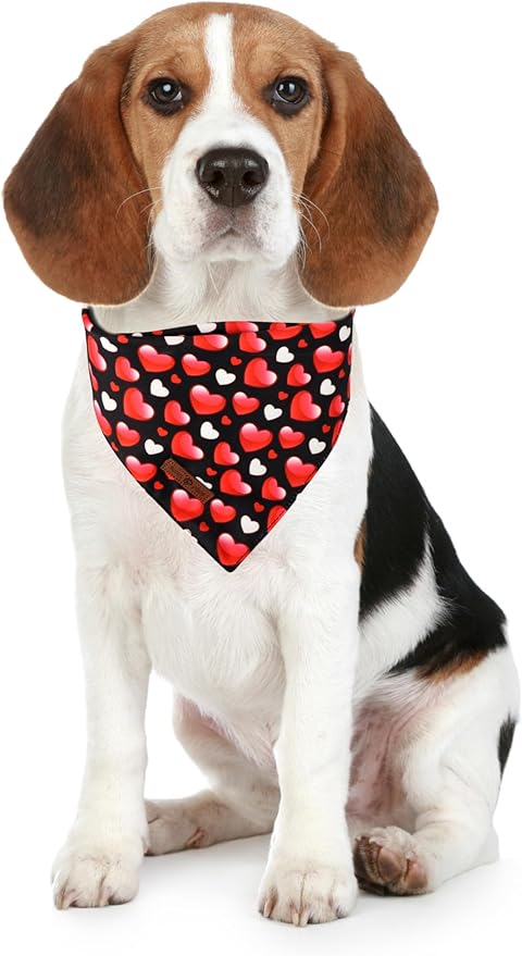 Lionet Paws Valentine's 2pcs Dog Bandanas, Black Heart & Colorful Heart Dog Scarf Bib Premium Fabric, Happy Valentine Love Bandanas for Small Dogs Pets