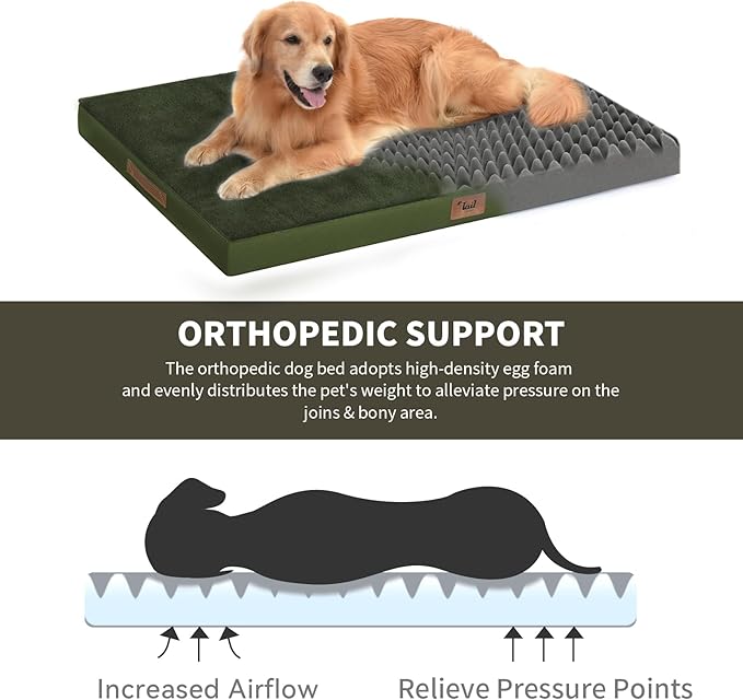 Tail Stories Orthopedic Dog Bed for Large Dogs, Plush Washable Pet Bed for Large Size Dogs with Egg Crate Foam & Removable Oxford Cover, 36x27 Inch, Olive Green