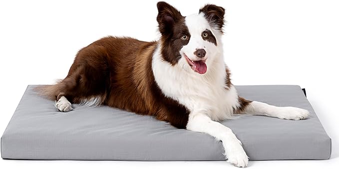 PELZIN Cybarmour Indestructible Dog Bed - Outdoor Waterproof Chew Proof Dog Crate Pad - Orthopedic Kennel Mat for Aggressive Chewers - Large Breeds & Fits 36-Inch Crate - 35"x22", Limestone