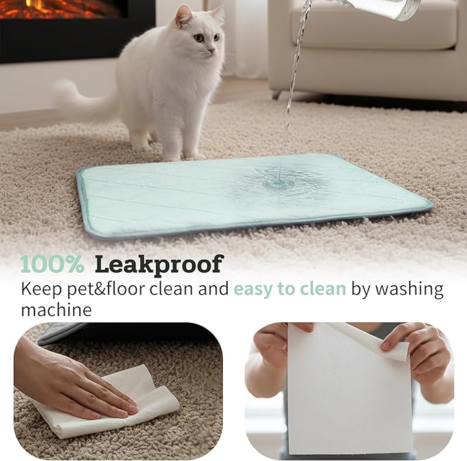NWK Fluffy Self Warming Cat Mat, Cat Blanket, Thermal Dog Mat, Washable, Non-Slip Bottom for Sofa & Crate & Kennel & Car Seat (Mint Green, Large (35'' X 23'' X 0.4''))