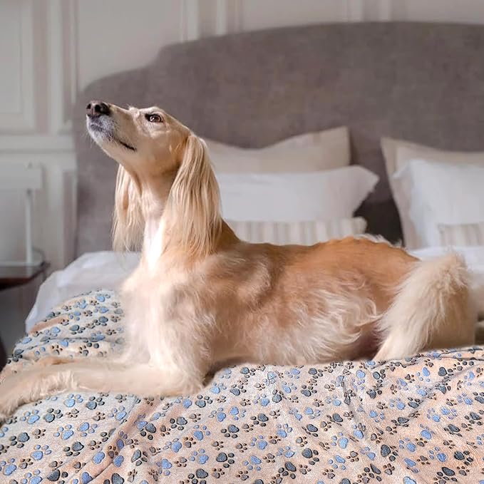 Dog Blankets for Large Dogs, 1 Pc Dog Blanket Washable, Soft Fluffy Flannel Pet Blanket Mat Cover for Bed Couch, Cute Print Puppy Blanket 60" x 50"