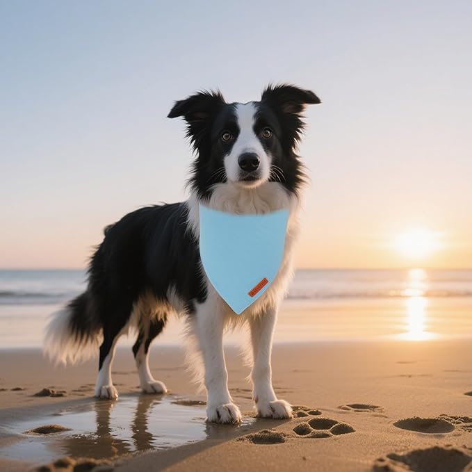 ADOGGYGO 2 Pack Blue Dog Bandanas, Soft Cotton Solid Color Pet Triangle Scarf, Adjustable DIY Blue Boy Birthday Bandanas for Medium Large Dogs (Large)