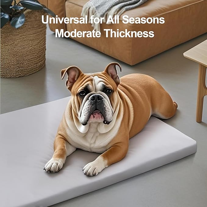 Liliowons Dog Mat,23"x 36"Dogs Crate Pad,Indoor Non-Slip & Waterproof Dog Mat,Easy Wipe Clean in Seconds，Sleeping for Floor,Car,Sofa,Crate