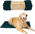 My Doggy Place Dog Mud Mat, 36" x 26" Teal – Thick Microfiber Entry Rug for Snow, Mud & Salt – Absorbent, Quick-Dry, Washer-Safe & Non-Slip, Large