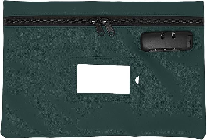 GIDABRAND Medicine Bag with Lock | 12x8 Inch Medication Storage Case | Pills Locking Zipper Organizer (Green)