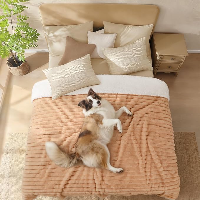 Luciphia Waterproof Dog Blanket for Small Puppy Ultra-Soft Calming Cut Pile Flannel Throw Durable & Warm Furniture Protection for Couch Car Pet Cat Blanket Machine Washable Warm Caramel,S(40''x28'')