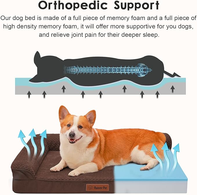 Rainmr Orthopedic Dog Beds for Large Dogs, Memory Foam Dog Beds Large Sized Dogs, Washable Removable Cover, Nonskid Bottom, Waterproof, for Indoor, Outdoor, Crate ＆ Car Use, 36x27x6 Inches, Brown Grey