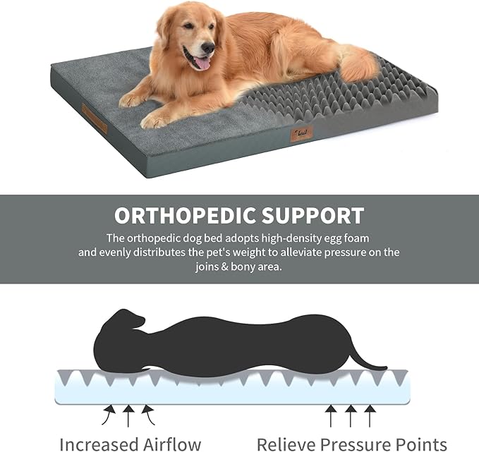 Tail Stories Large Comfy Washable Dog Bed, Orthopedic Egg Crate Foam Dog Crate Mat for Large Dogs with Removable Cover, 41x27 Inch, Gray