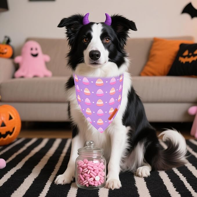 ADOGGYGO Halloween Dog Bandanas 2 Pack, Triangle Reversible Pumpkin Candy Print Pet Scarf Bib, Purple Halloween Bandans for Medium Large Dogs (Large)