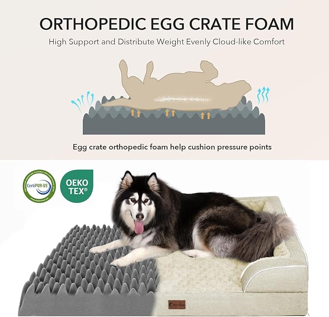Casa Paw Orthopedic Dog Beds for Extra Large Sized Dogs, Waterproof Memory Foam XL Pet Bed with Sides 42x30Inch, Non-Slip and Egg-Crate Foam Big Dog Couch Bed with Removable Washable Cover, Beige