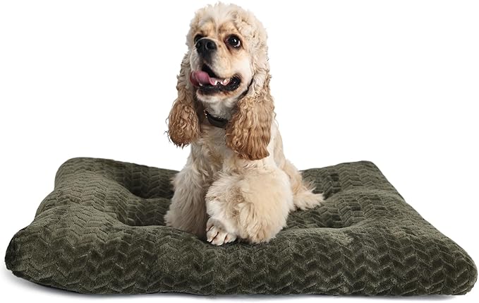 Necesitar 36inch Dog Crate Bed for Medium Large Dogs Washable Ultra Soft and Fluffy Kennel Pad with Anti-Slip Pet Pillow Cushion Sleeping Up to 70 lbs Pets,36x24 Olive Green