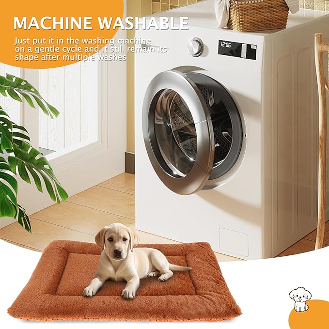 Vetasac Reversible Dog Bed Mat with Plush and Corn Velvet,Soft Warm Pet Cushion, Dual Purpose Washable Sleeping Mattress Bed for Small Medium Large Dog and Cat XB004 (24"x18", Orange)