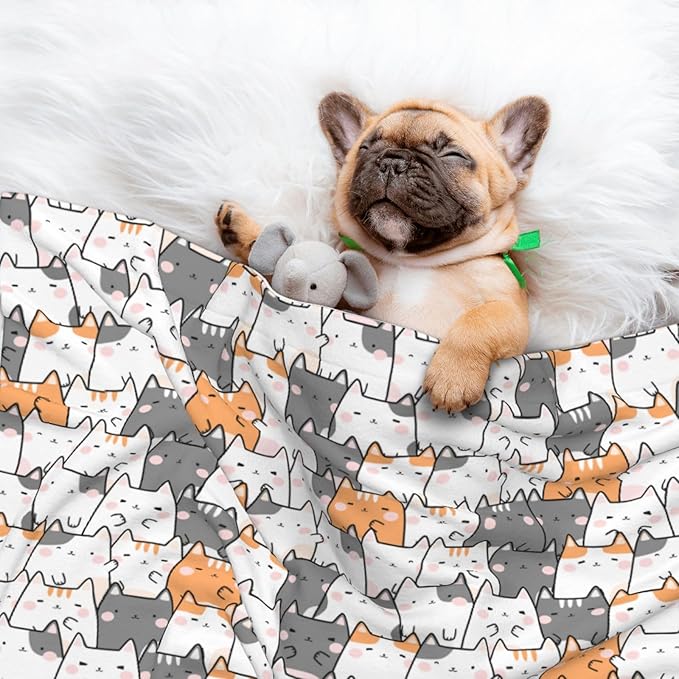ENSFTF Pet Blanket,Warming Ultra Soft Warming Mat for Indoor Pet Beds & Furniture Reversible Blanket Machine Washable 27.6 * 19.7Inch,Cute Animals Pattern