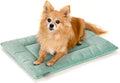 KindTail Dog Crate Pad - Soft Velvet, Reversible Bed - Machine Washable Kennel Mat for Pets up to 15 lbs, Mattress for Cozy Sleeping - 20” x 15” x 1” (Light Green, Small)