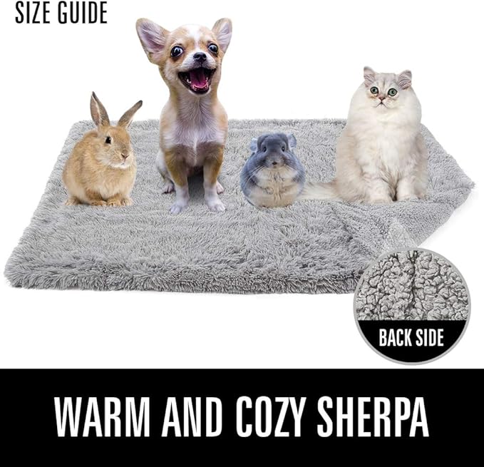 LOCHAS Luxury Fluffy Dog Blanket, Extra Soft and Warm Sherpa Fleece Pet Blankets for Dogs Cats, Plush Furry Faux Fur Puppy Throw Cover, 20''x30'' Cream White