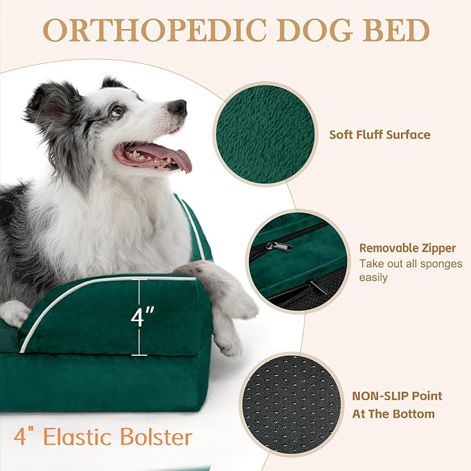 Comfort Expression Orthopedic Dog Bed for Large Dogs 38x25 Inch, Waterproof Supportive Egg Crate Foam Large Pet Bed with Removable Bolsters, Dog Couch with Washable Cover & Non-Slip Bottom, Emerald