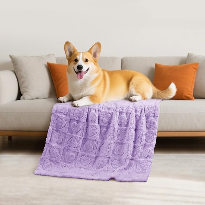 Luciphia Small Dog Blanket Washable Pet Bed Cover Soft Fluffy Puppy Blanket with Premium Fleece 300GSM Cozy Calming Cat Blankets for Indoor Cats Light Purple 30x20 inch