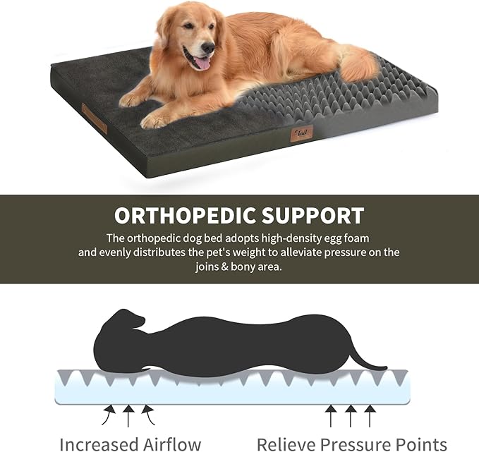 Tail Stories Plush Orthopedic Dog Bed for Medium Dogs & Puppies, Waterproof Dog Beds 29x18 Inch with Removable Washable Cover, Egg Crate Foam Flat Pet Mat, Coffee