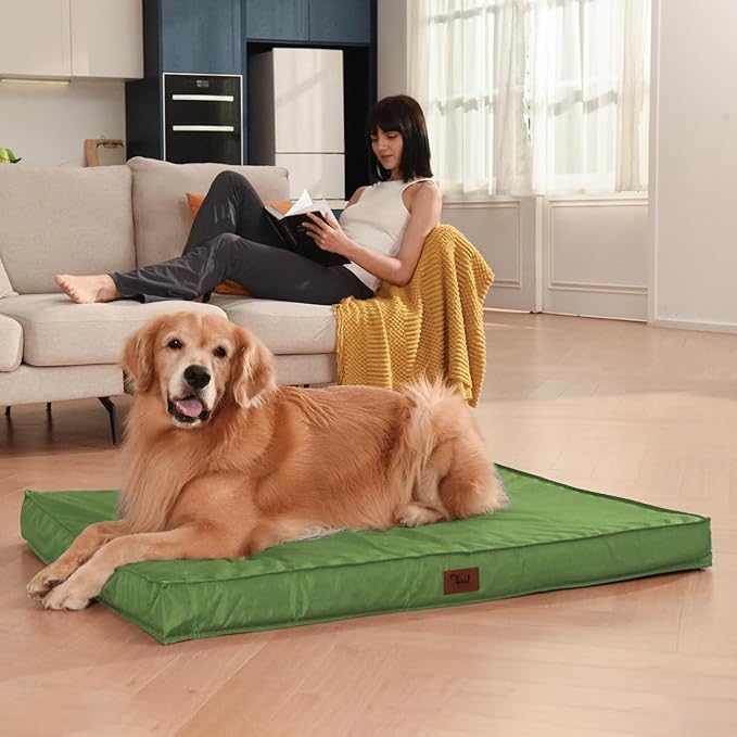 Tail Stories Outdoor Extra Large Dog Bed, Jumbo Waterproof Dog Bed for Large Dogs, Orthopedic Egg Crate Foam Pet Mat with Removable Oxford Cooling Cover, Light Green