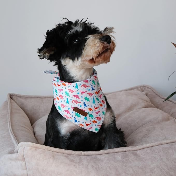 UP URARA PUP Dinosaur Dog Bandana, Comfortable Cotton Triangle Bid Scarf for Puppy Small Dogs or Cats, Washable Pet Kerchief for Boy Girl Dogs, Colorful Dinosaur Cute Bandana Dog