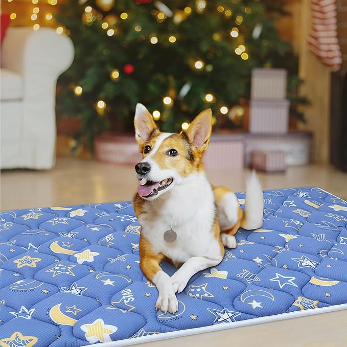Bubble bear Dog Crate Mat - Ultra Soft, Washable & Anti-Slip Kennel Pad for Small/Medium/Large Dogs, Dark-Hued to Hide Stains (30"x19")