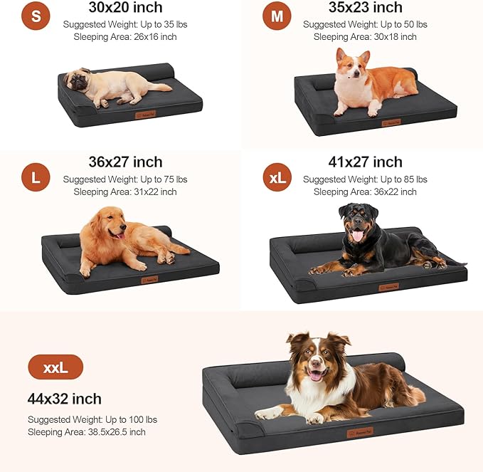 Rainmr Orthopedic Dog Bed Medium Size Dog, Memory Foam Dogs Bed for Medium Dogs, Washable and Removable Microsuede Cover, Waterproof Liner, Non-Skid Bottom, 35x23x6 Inches, Dark Grey